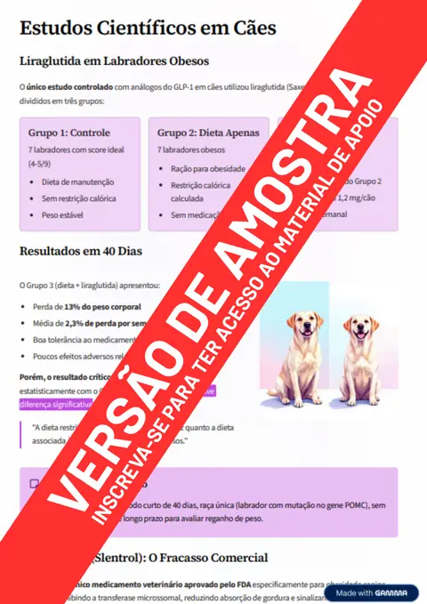 Material de apoio em PDF — página 4